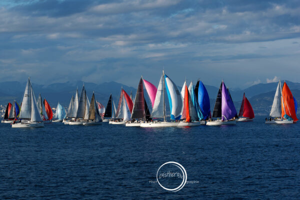 Voilier en mer lors de la Croisière Bleue Antibes-Calvi – 59ᵉ édition