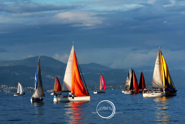 Voilier en mer lors de la Croisière Bleue Antibes-Calvi – 59ᵉ édition