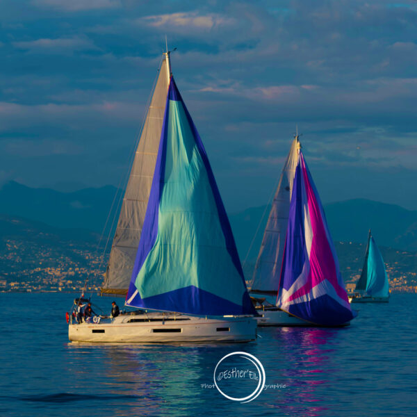 Voilier en mer lors de la Croisière Bleue Antibes-Calvi – 59ᵉ édition